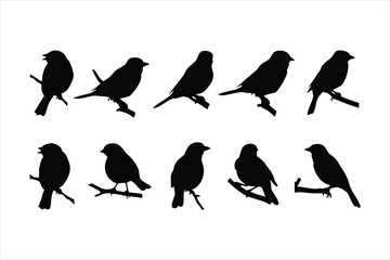Birds set black silhouette isolated vector