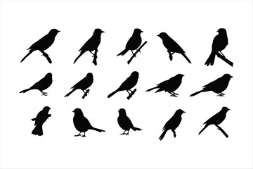 Birds set black silhouette isolated vector