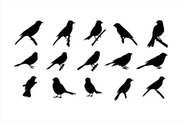 Birds set black silhouette isolated vector
