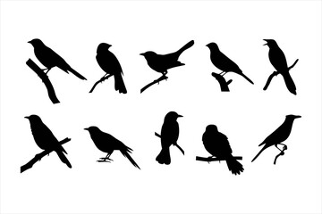 Birds set black silhouette isolated vector