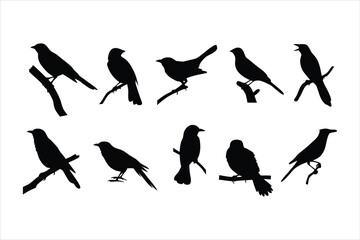 Birds set black silhouette isolated vector