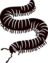 vector illustration of a Millipede. millipede, insect, animal, vector, transparent background, organism, diplopoda, nature, isolated, crawling, wildlife, small, creature. Millipede Silhouette: