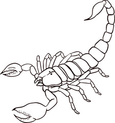 Vector illustration of a scorpion. scorpion line art. Simple Scorpion Outline Design. Vintage retro hand drawn scorpion vector illustration isolated on white background
