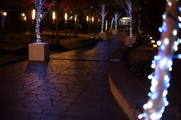 クリスマスのイルミネーション