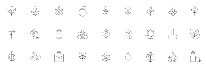 Fototapeta premium Botanical Line Art Collection of Minimalist Plant Illustrations for Branding and Design Projects showcasing nature inspired elegance