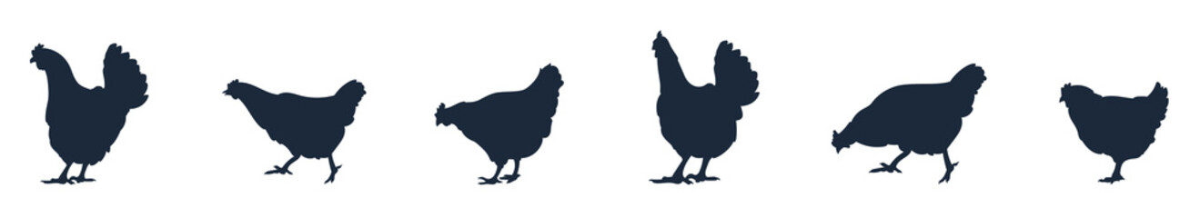Silhouette of a rooster on white background, Rooster Vector Silhouette Rooster Silhouette Chicken Silhouette, Vector ESP 10 Illustration. vector illustration