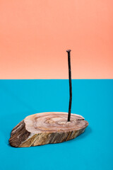 Old rusty nail hammered into a wooden board