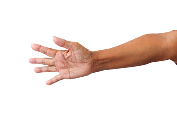 Old woman's hands in various forms on a white background