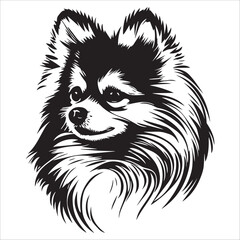 Fototapeta premium Pomeranian Dog Head Black and White Illustration