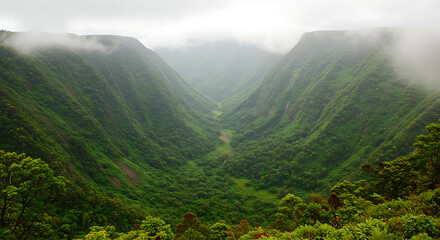 Fototapeta premium A View Of A Valley With A Mountain In The Background