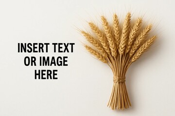 Insert Text or Image Here