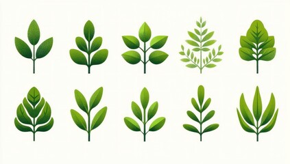 Collection of various green leafy plant illustrations with different shapes and arrangements on a white background