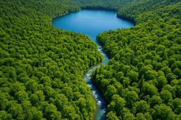 Fototapeta premium A Serene Lake Nestled in a Lush Forest