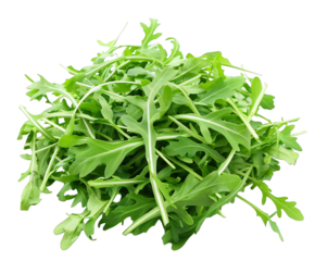 Fresh arugula leaves isolated on transparent background