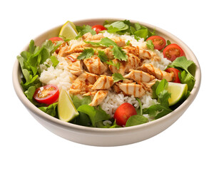 Take away food, chicken salat and rice