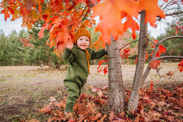 little child 1 year old in autumn. stands near tree with red leaves. smiles and waves hand