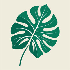 minimalist tropical monstera