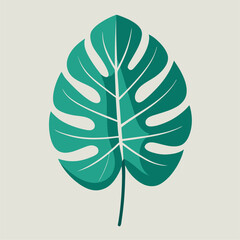 minimalist tropical monstera