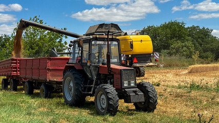 Sun-drenched harvest scene with a chugging tractor, evoking Lammas festival abundance and rustic agrarian nostalgia