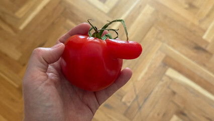 Whimsical tomato with quirky protrusion, evoking bountiful harvests and Tomato Festival...