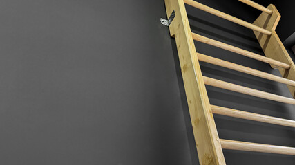Wooden ladder ascends against charcoal wall, evoking upward aspirations on National Make Your...