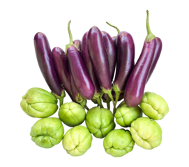 fresh eggplant and chayote arranged against a white background. a top view composition of vegetables for healthy nutrition