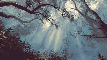 Vibrant sunbeams pierce through the dense foliage of a serene and mystical forest creating a captivating play of light and shadow across the landscape