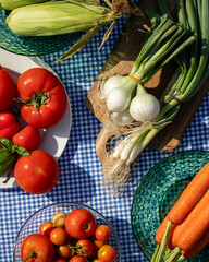 A vibrant farmers market bounty on checkered cloth, invoking harvest festivals and locavore celebrations with heirloom vegetables