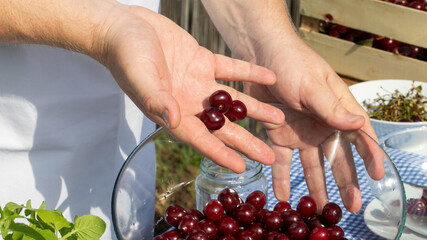 Hands cradle glistening cherries, evoking summer abundance, cherry-picking nostalgia, and...