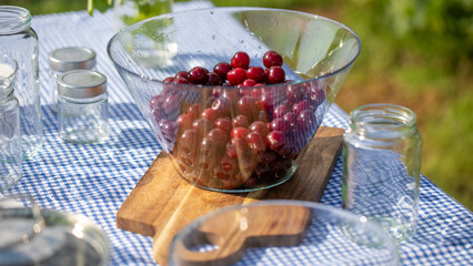 Glistening crimson grapes bask under the sun on a rustic plaid tablecloth, the essence of Midsummer Luncheon on Martenitsa Day