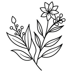 A black and white line art illustration of a botanical sprig with a single flower, leaves, and a cluster of berries.