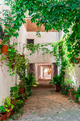 Beautiful flowers in a Spanish old town street , in Molinicos town, Castilla la Mancah, Spain.