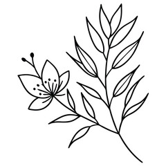 Line art illustration of a flowering branch with leaves and blossoms.