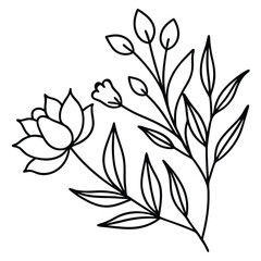 Elegant line art illustration of flowers and leaves.