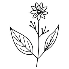 Line Drawing of a Simple Flower with Leaves