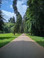 Obraz premium CameraID=2 FrameCount=-1 configID= lutID= lutFilename= configFilename= configNickname= profileID=-2 profileName=Default Version=AGC9.6 V5.0