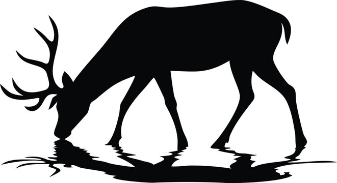 Black Silhouette of a Deer Drinking Water with Reflection on a White Background
