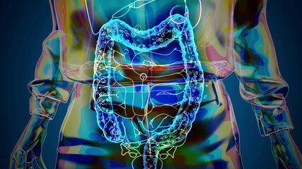 Conceptual 3D illustration of a woman's gut