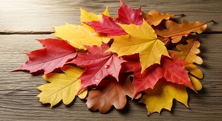 Obraz premium Pile of colorful autumn maple leaves on a wooden surface