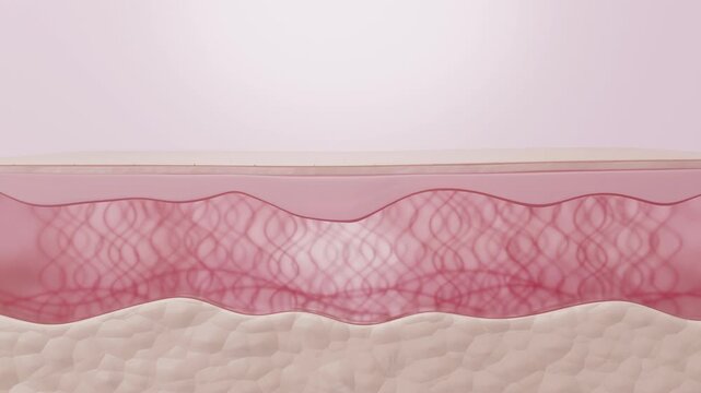 PDRN serum drop restoring collagen and elastin fibers 3D animation