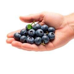 Fresh blueberries held in hand outdoors