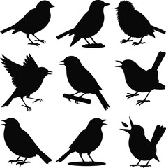 Bird silhouette illustration, flying and perched birds, black vector design, avian poses, beak open stance, nature concept, wildlife shapes, no background, grid layout.
