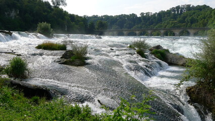 Wide View of the Rhine Falls and an Old Stone Bridge in Schaffhausen, Switzerland