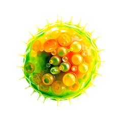 A highly detailed and magnified multicolor stomata, with vibrant shades of green, blue, and yellow, set against a clean and pristine white background