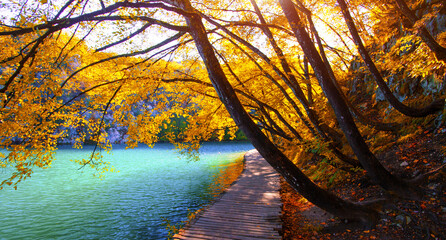 wonderful nature view, famous Croatian place, Plitvice lakes, Europe, Croatia...exclusive - this...