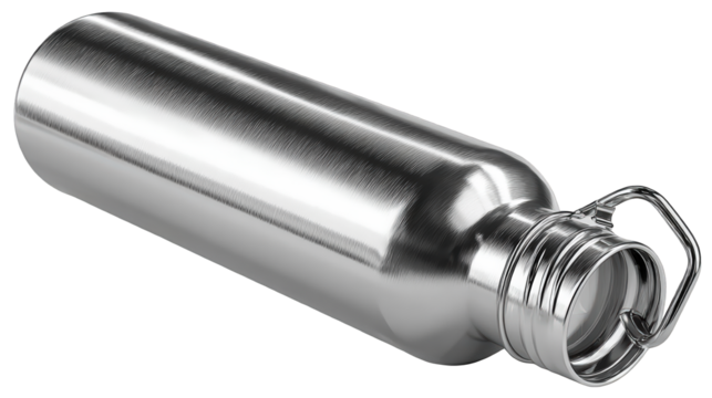 Brushed Stainless Steel Water Bottle with Carry Loop.