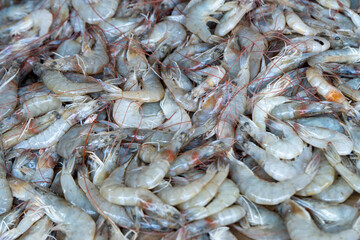 Fresh Raw Shrimp Displayed in Traditional Market