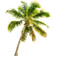 Tropical Palm Tree in Breeze, Island Background, Vacation Poster
