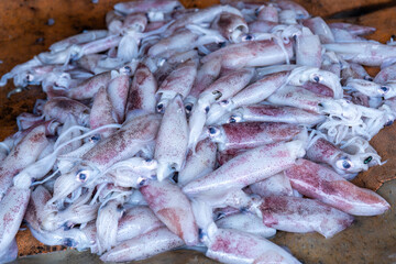 A pile of fresh raw squid displayed at a traditional market, perfect for seafood dishes, calamari recipes, and food photography.
