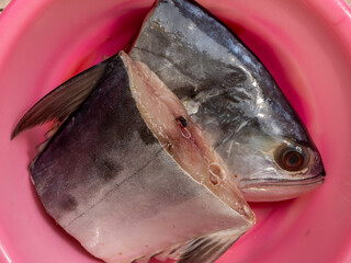 Fresh Tuna Head and Meat Cuts in Pink Bowl.Close-up of fresh tuna head and thick meat cuts in a...